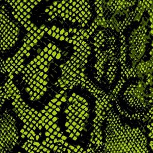 Meet your Posher, Alexa